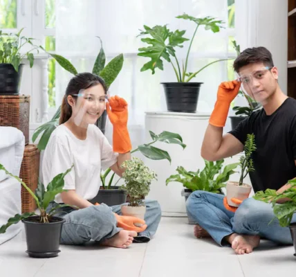 A Plant Care Guide for Newbies