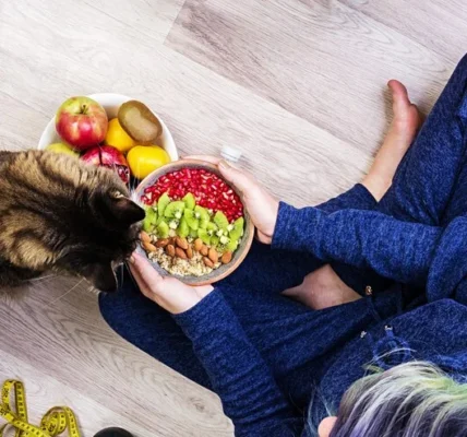 Best Diet and Exercise Plans for Your Pet
