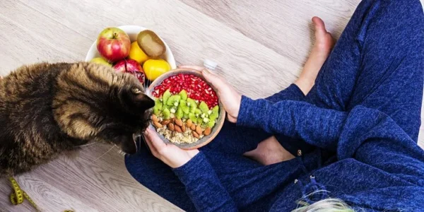 Best Diet and Exercise Plans for Your Pet