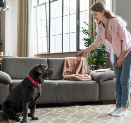 Clean the house with pets around