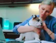 Common Pet Illnesses and How to Prevent Them