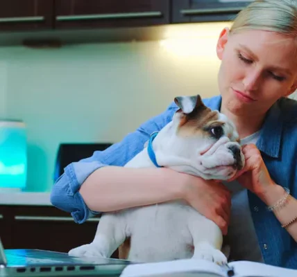 Common Pet Illnesses and How to Prevent Them