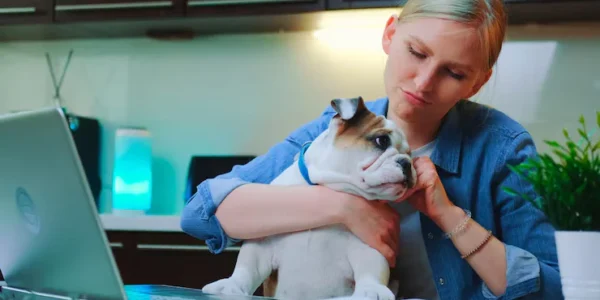 Common Pet Illnesses and How to Prevent Them