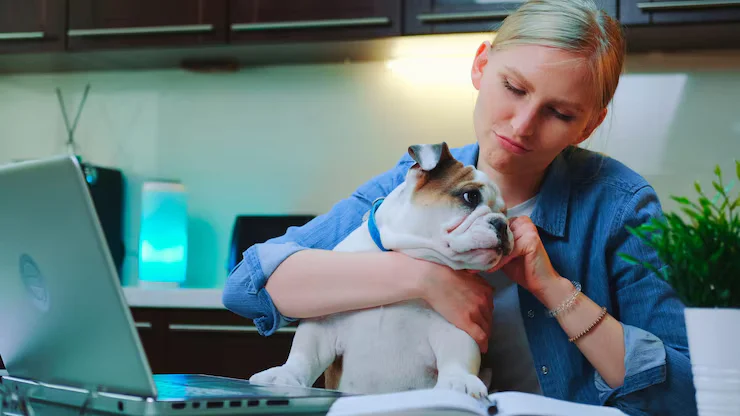 Common Pet Illnesses and How to Prevent Them