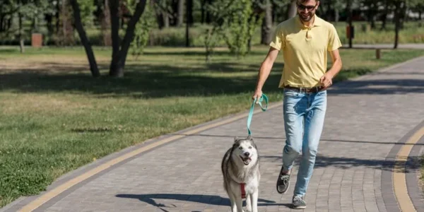Daily Walks for Happy Pets