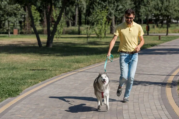 Daily Walks for Happy Pets