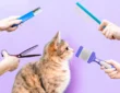 Easy Ways to Groom Your Cat