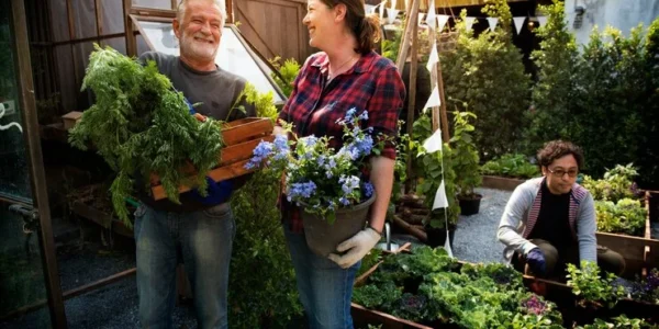 Garden Hacks for City People