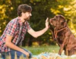 How to keep your pet happy and healthy every day