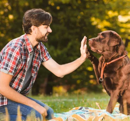How to keep your pet happy and healthy every day