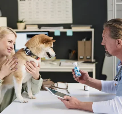 Signs Your Pet Needs Vet Help