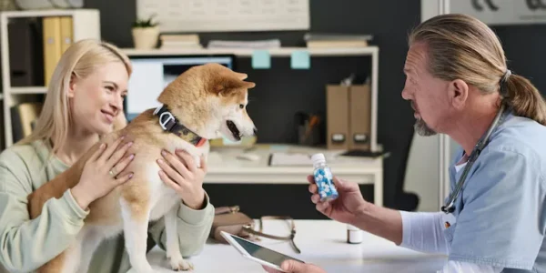 Signs Your Pet Needs Vet Help