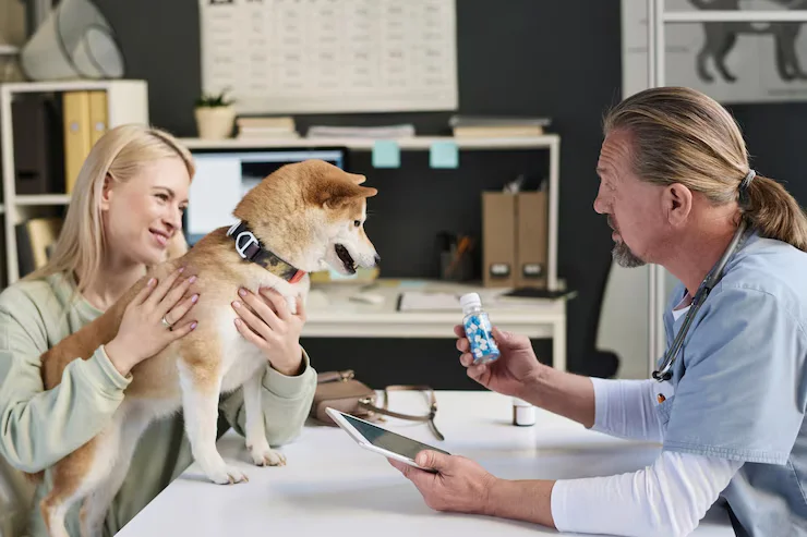 Signs Your Pet Needs Vet Help