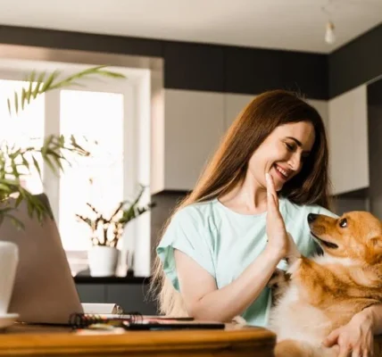 Top Pet Health Tips Every Owner Should Know