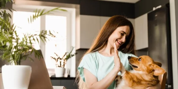 Top Pet Health Tips Every Owner Should Know