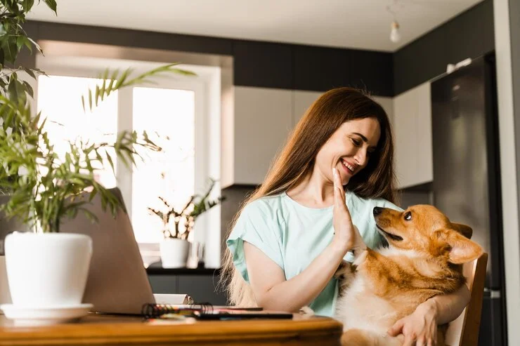 Top Pet Health Tips Every Owner Should Know
