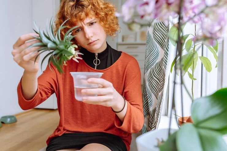 Worried about herbal remedies